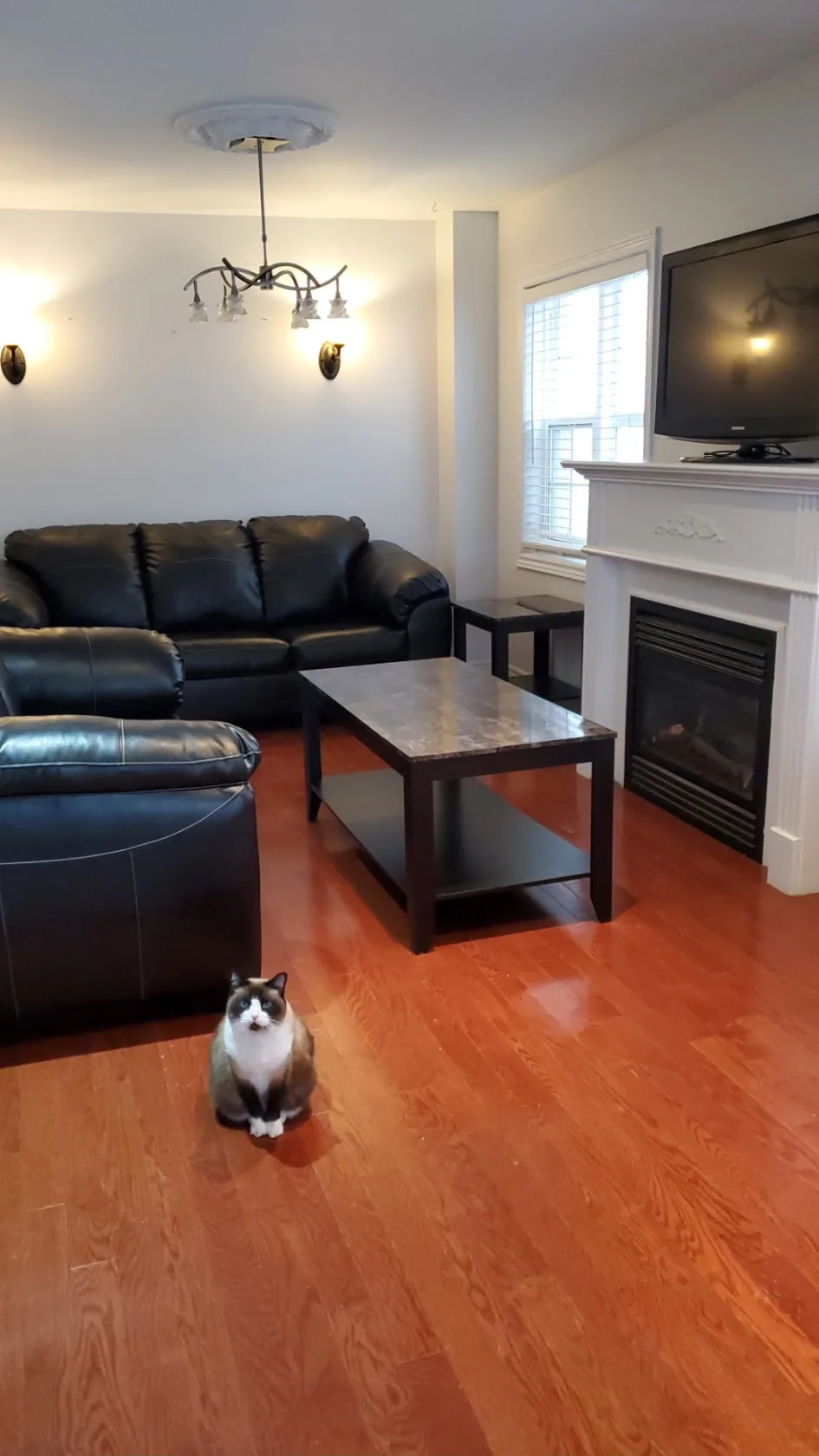 Clean organized living room after decluttering