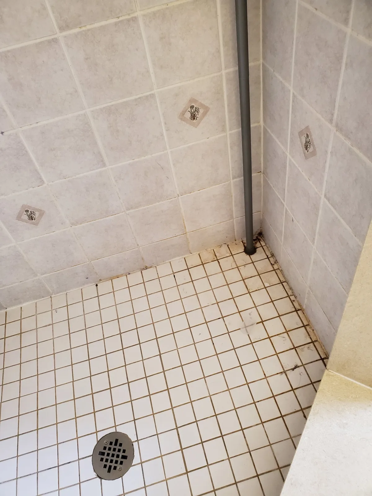 Dirty shower floor with grimy grout before cleaning
