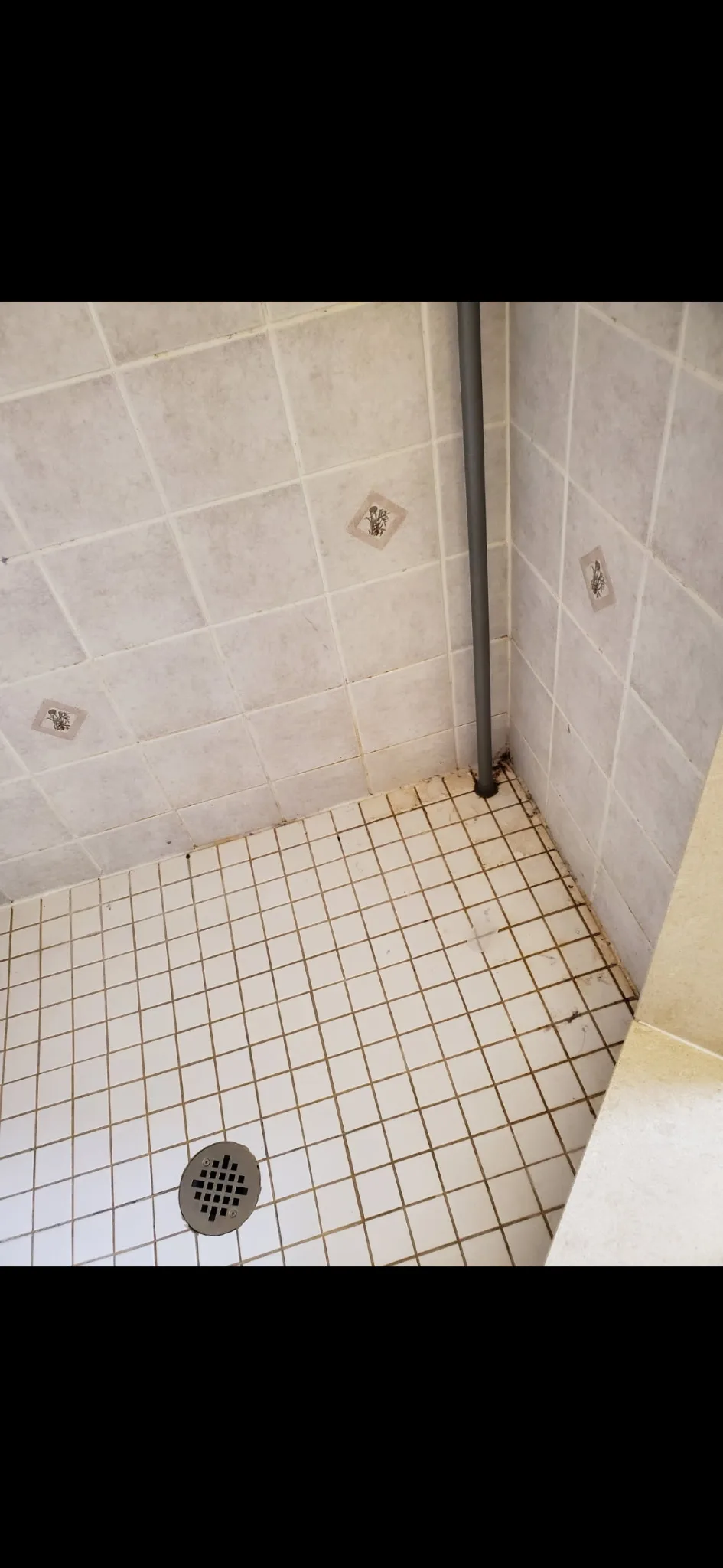 Clean shower floor after grout cleaning