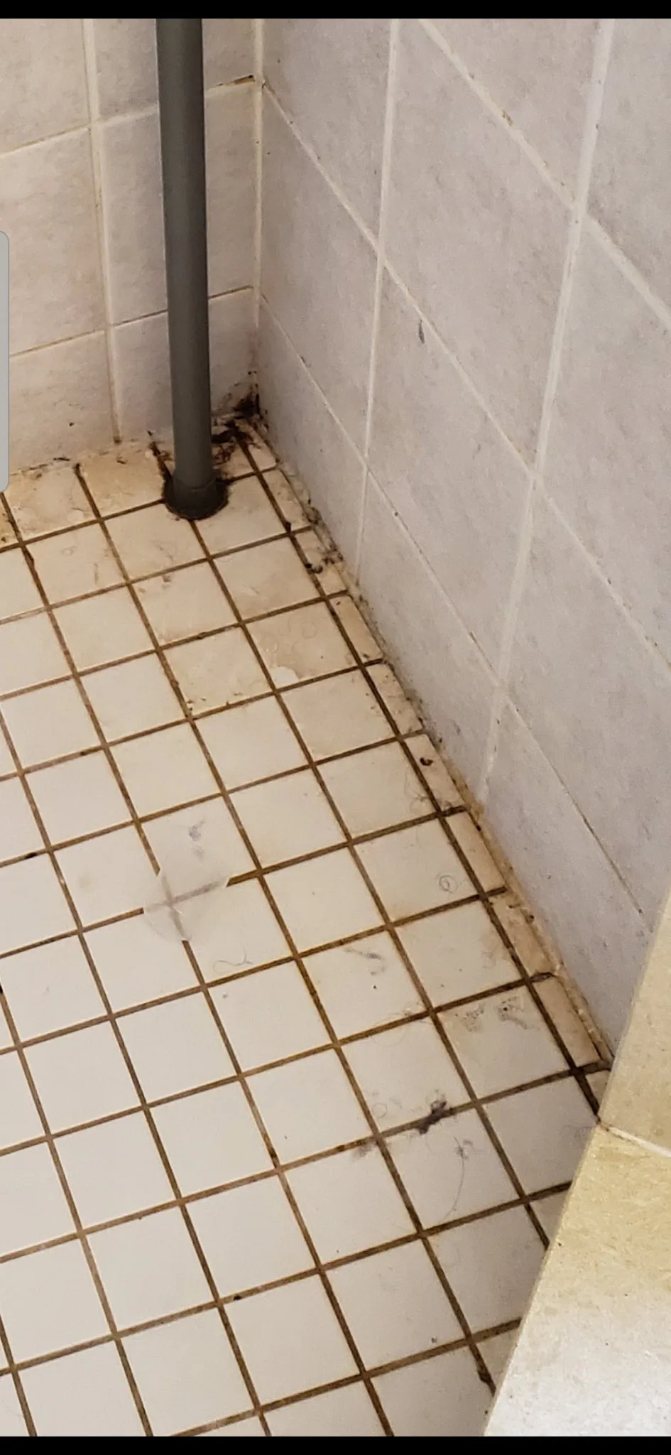 Shower floor with moldy grout before cleaning